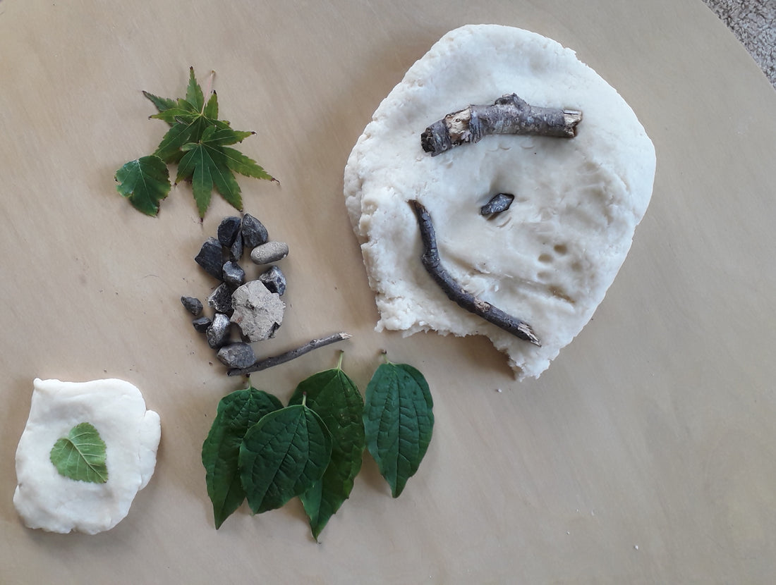 Teaching about Fossils