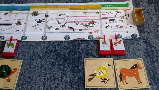 When Montessori Isn't Picture Perfect.