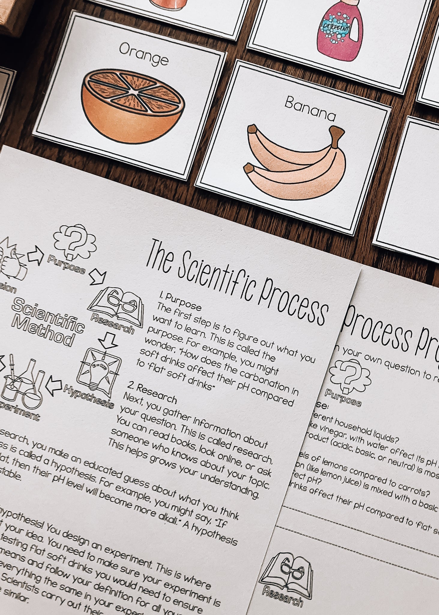 Acids and Bases Introduction Activities and Teaching Sequence for Mont ...