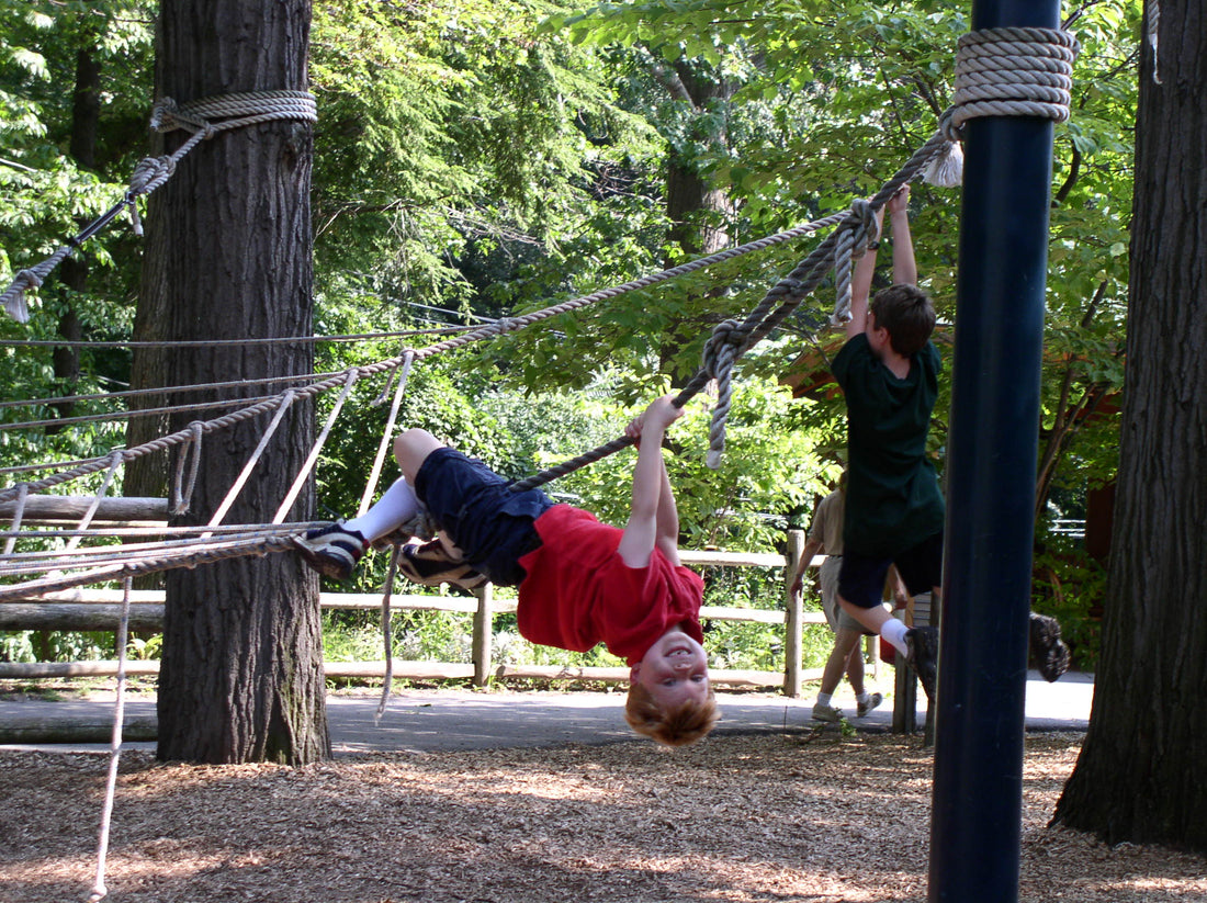 Understanding & Nurturing Your Second Plane Child