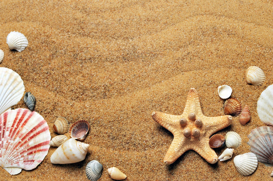 Questions About Teaching Oceania