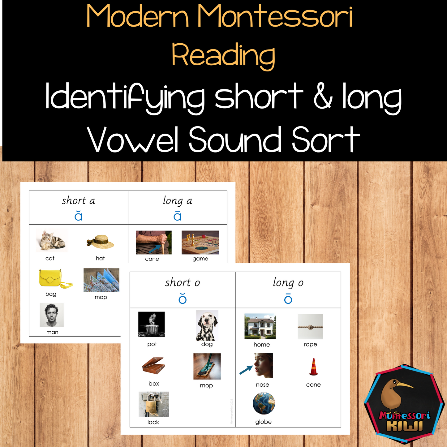 Modern Montessori Reading SOR Short and Long Vowel Aural Sorting Activity (literacy)