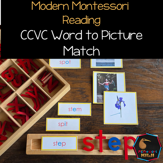 Modern Montessori Reading: CCVC Word to Picture Match (literacy)