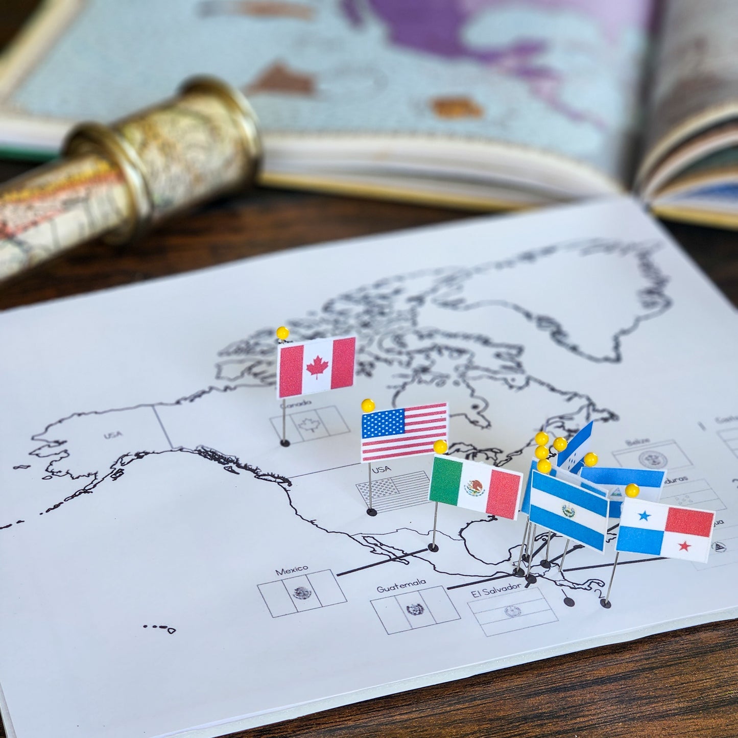 Pin Map Bundle - montessorikiwi