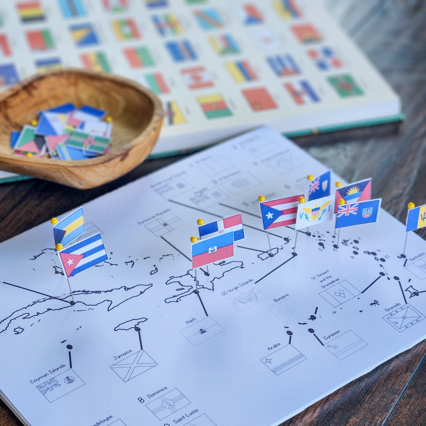 Caribbean Flag Pin Map - montessorikiwi