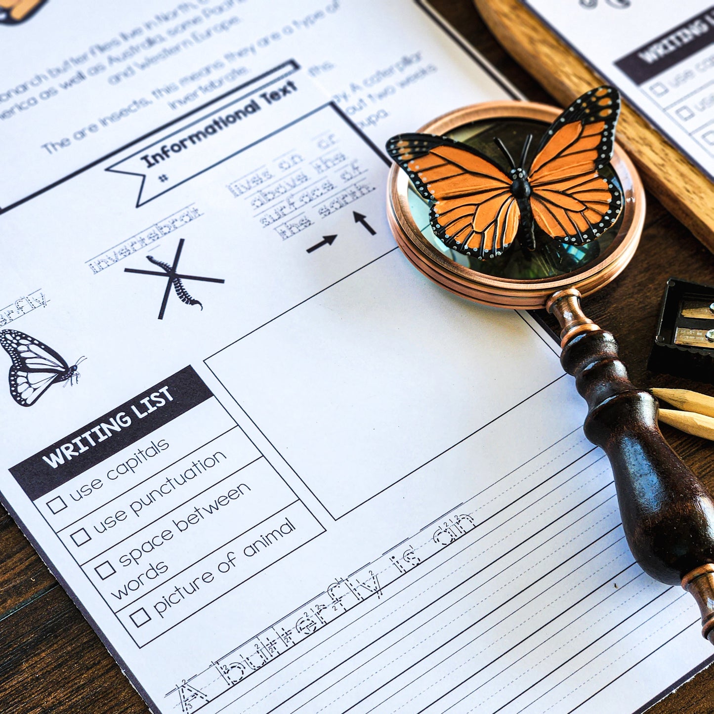 Beginner Animal Research Projects structured