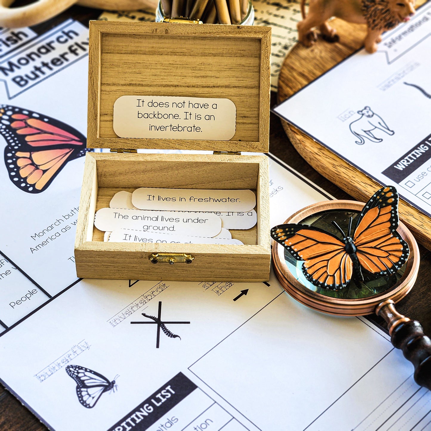 Beginner Animal Research Projects structured
