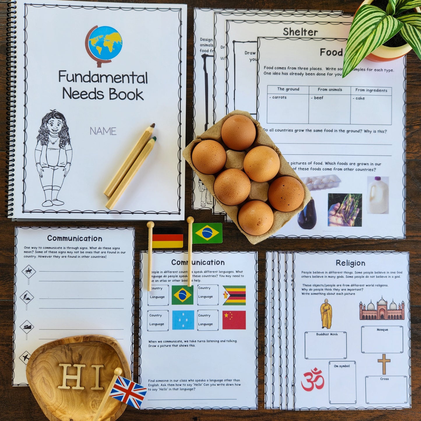 Fundamental Human Needs Student Workbook (cosmic) - montessorikiwi