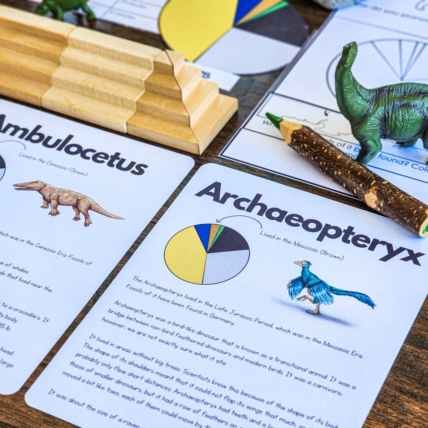 Early life research for Montessori (cosmic) - montessorikiwi