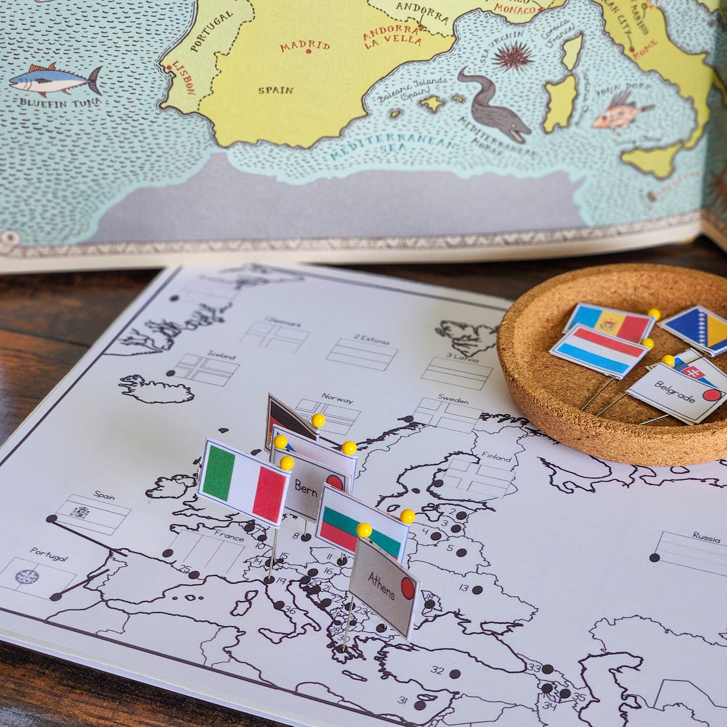 Europe Flag Pin Map - montessorikiwi