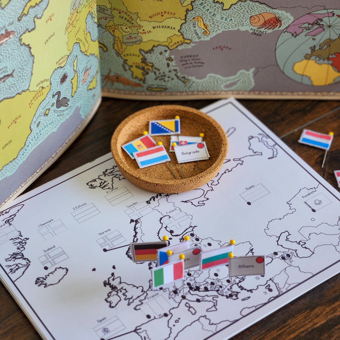 Europe Flag Pin Map - montessorikiwi