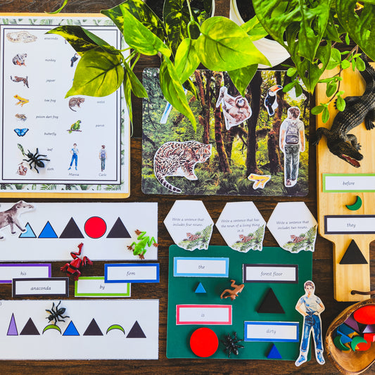 Montessori Miniature Environment: Rainforest  (literacy) - montessorikiwi