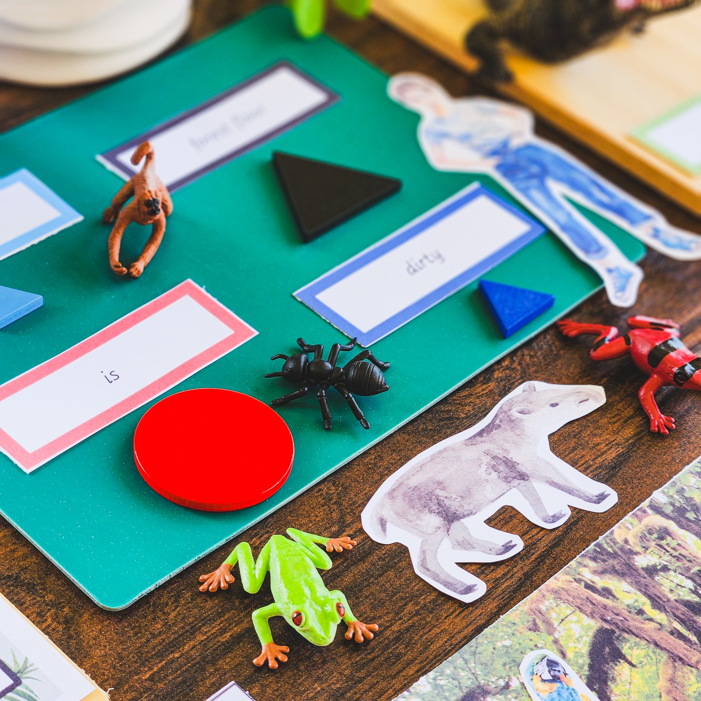 Montessori Miniature Environment: Rainforest (literacy) - montessorikiwi