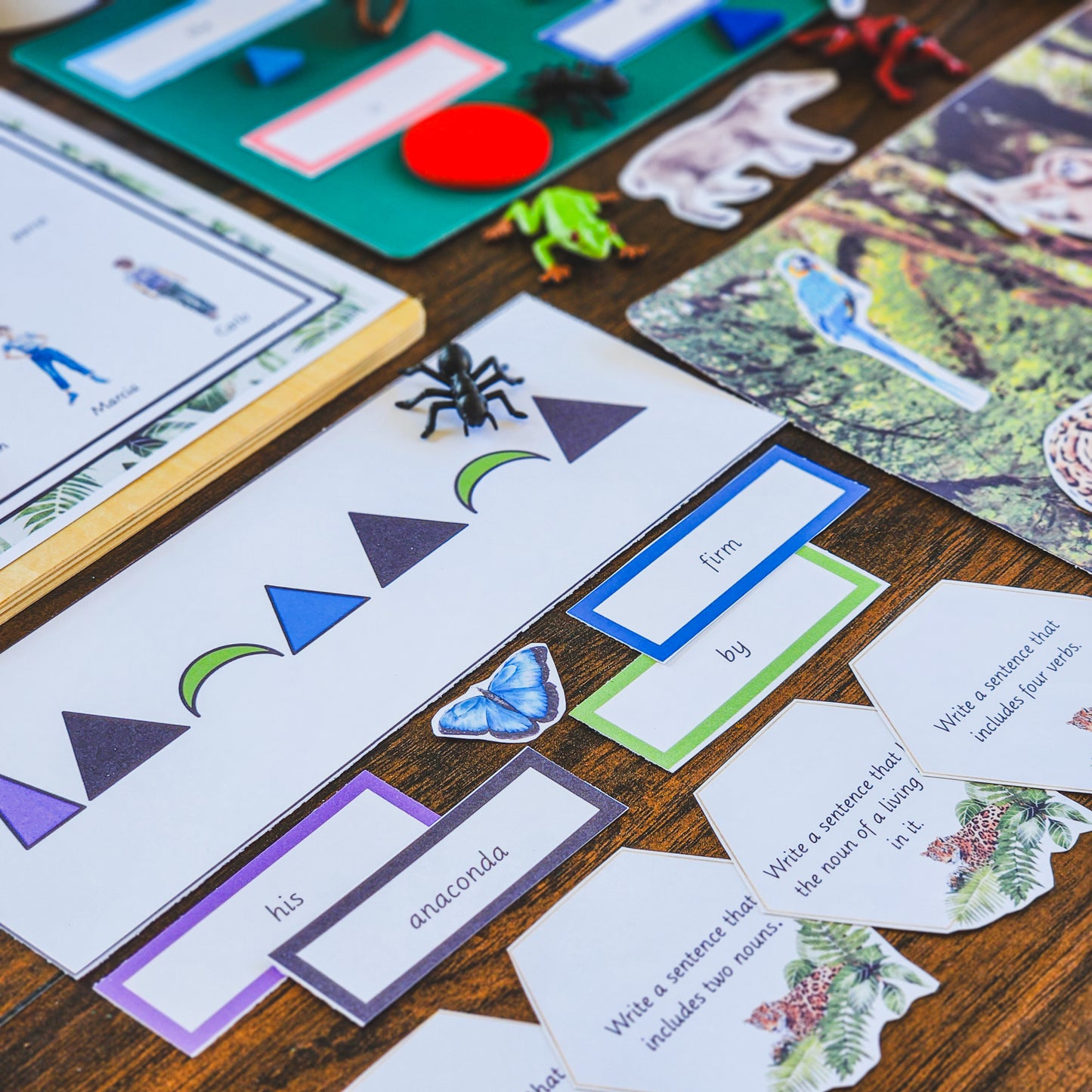 Montessori Miniature Environment: Rainforest (literacy) - montessorikiwi