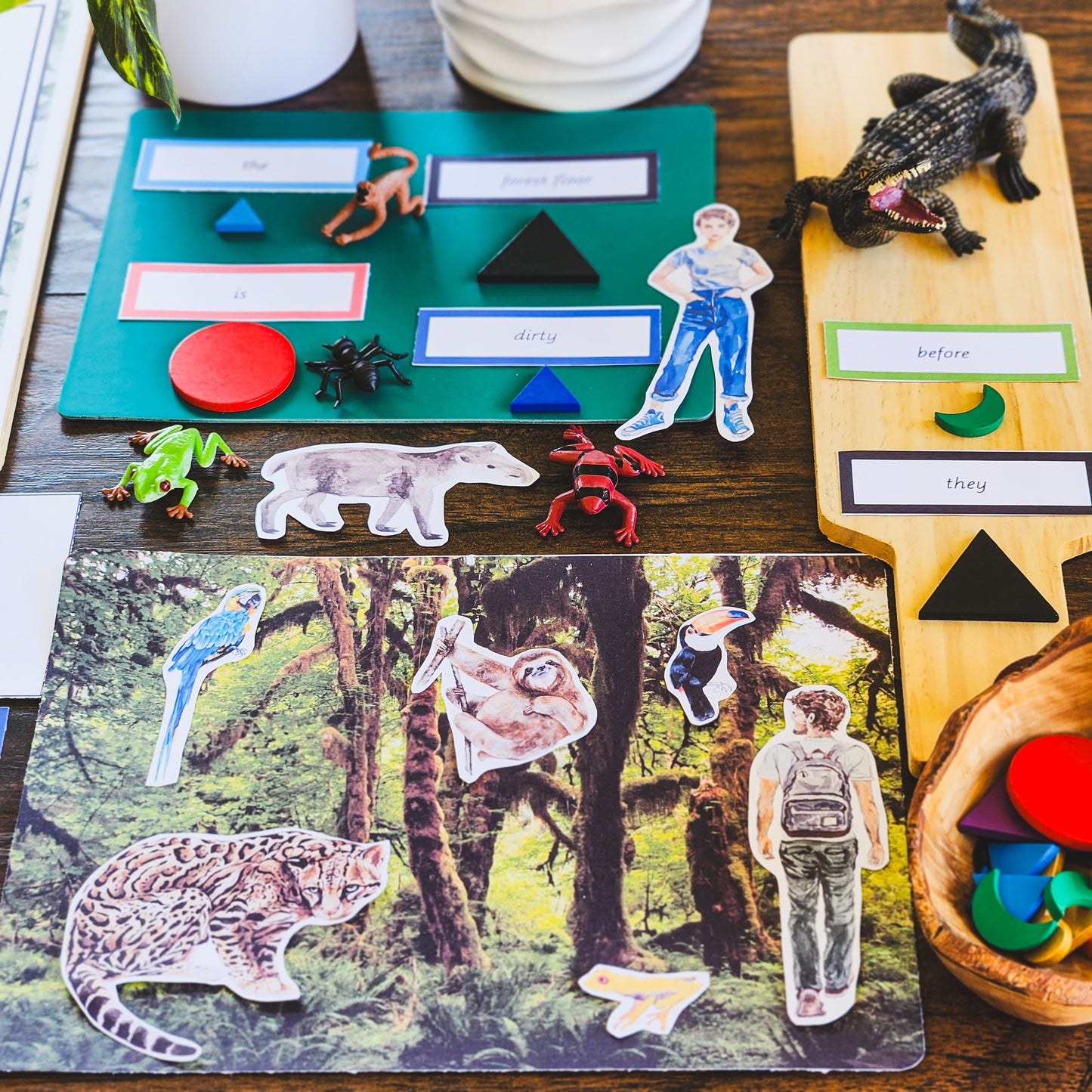 Montessori Miniature Environment: Rainforest (literacy) - montessorikiwi