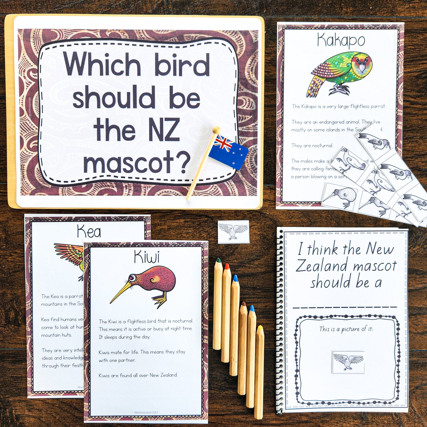 New Zealand Election Activity: Let's vote for our favourite bird - montessorikiwi