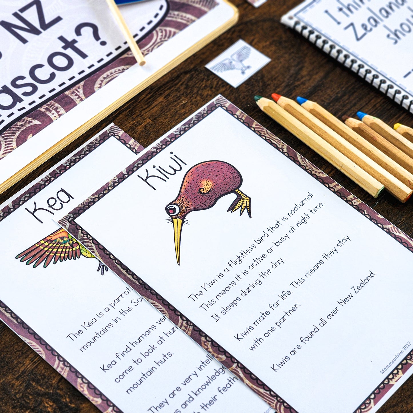 New Zealand Election Activity: Let's vote for our favourite bird - montessorikiwi