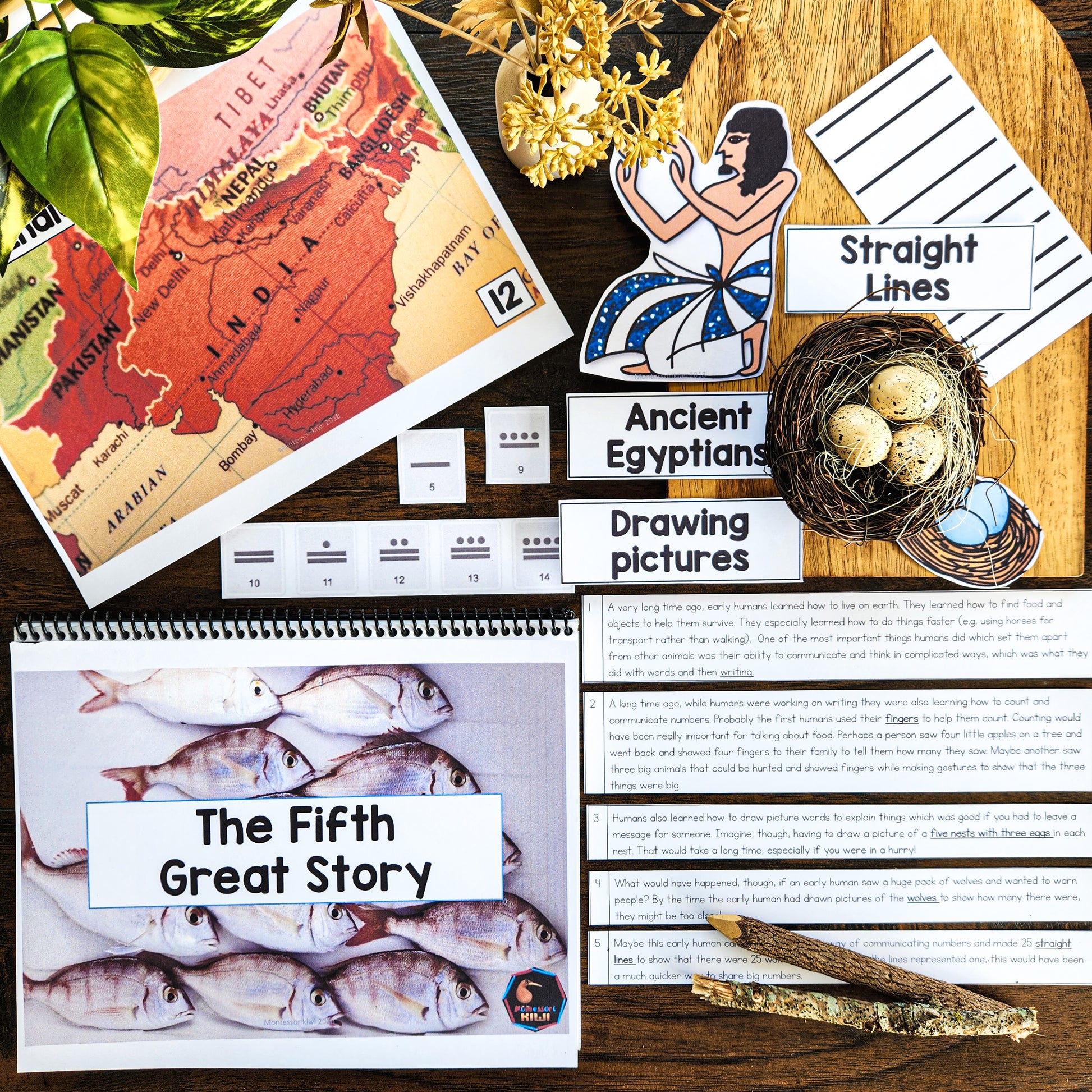 Montessori Fifth Great Story Script and Powerpoint (cosmic) - montessorikiwi