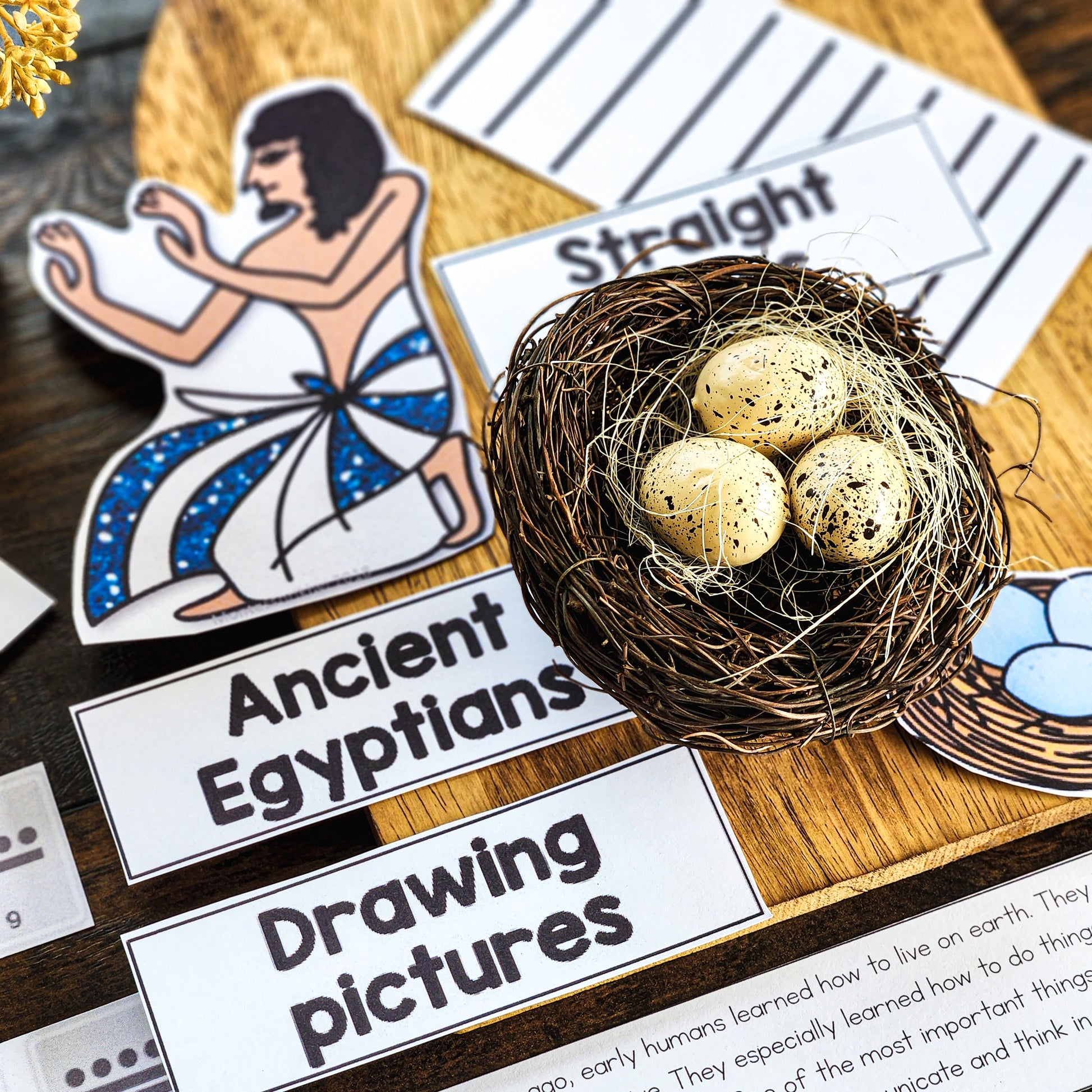 Montessori Fifth Great Story Script and Powerpoint (cosmic) - montessorikiwi