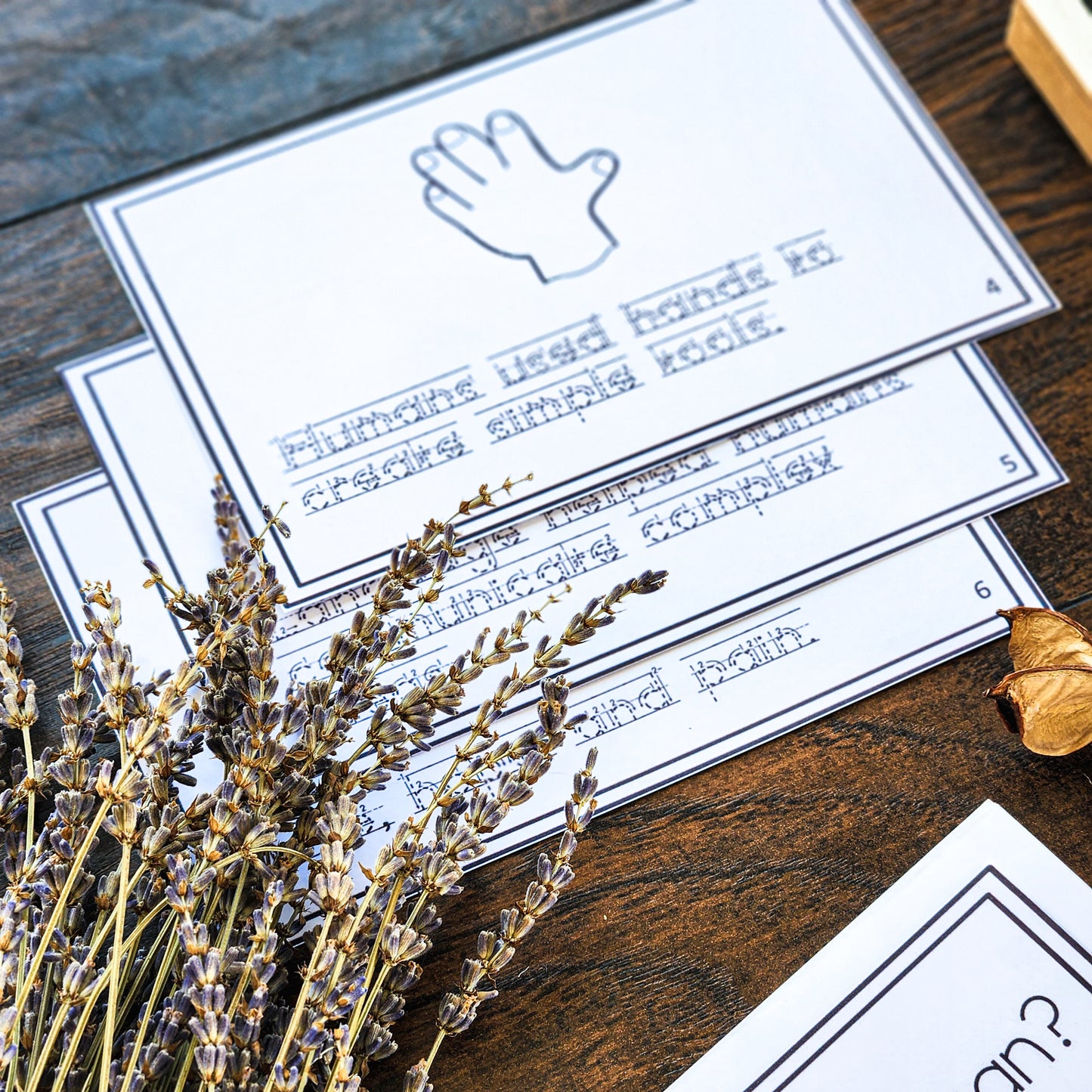 What makes us human? script and create your own booklet (cosmic) - montessorikiwi