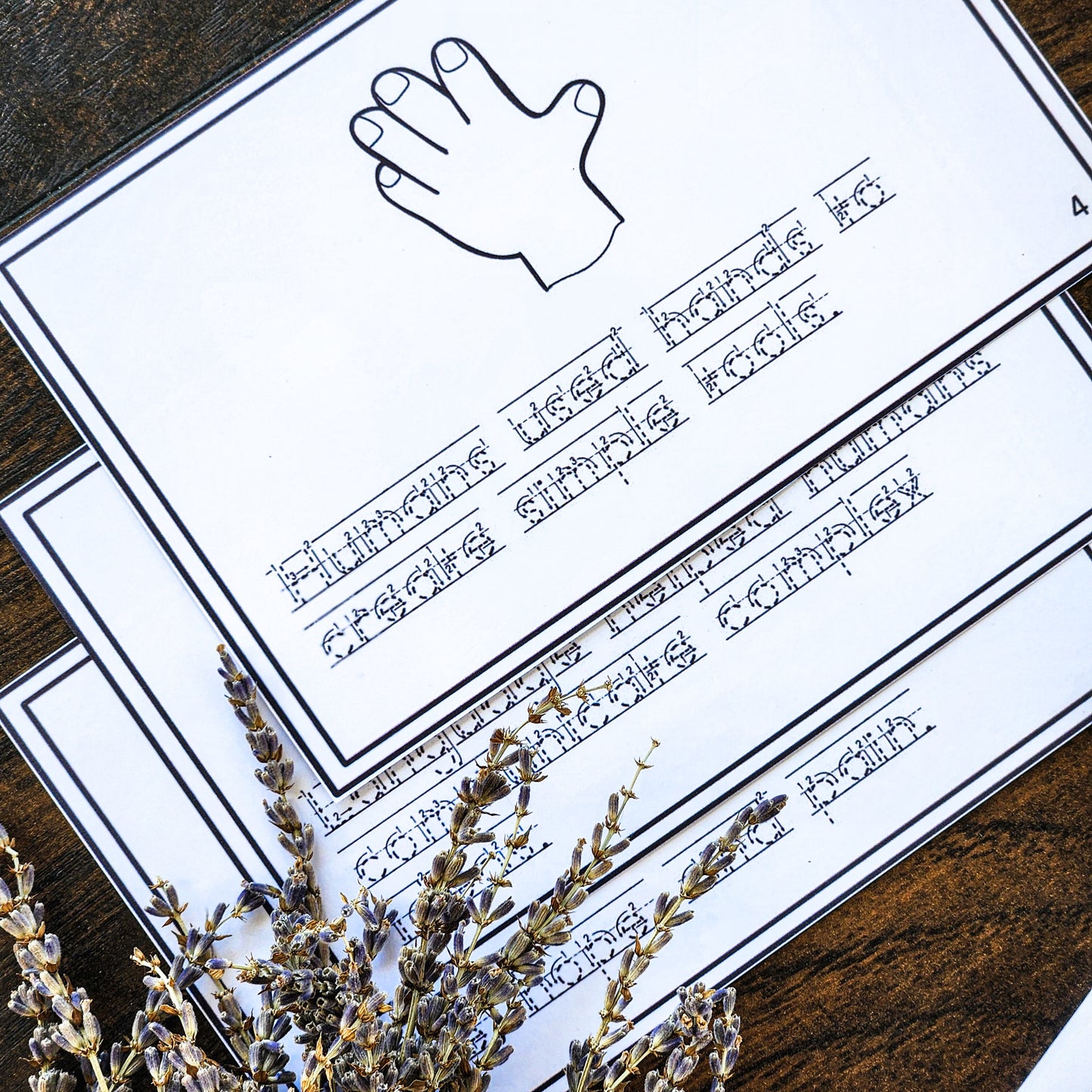 What makes us human? script and create your own booklet (cosmic) - montessorikiwi