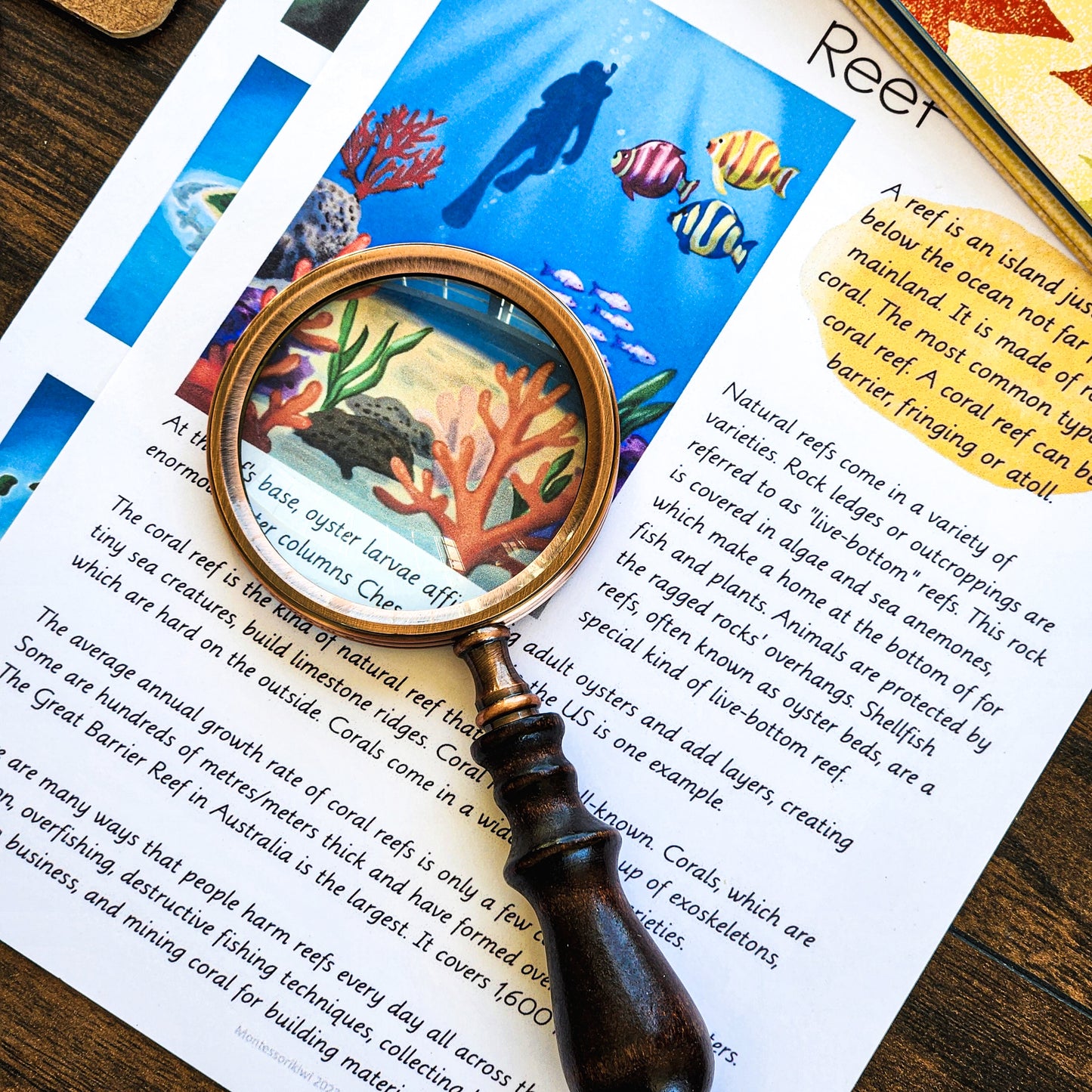 Montessori types of Islands for 9-12 year olds (geography) - montessorikiwi