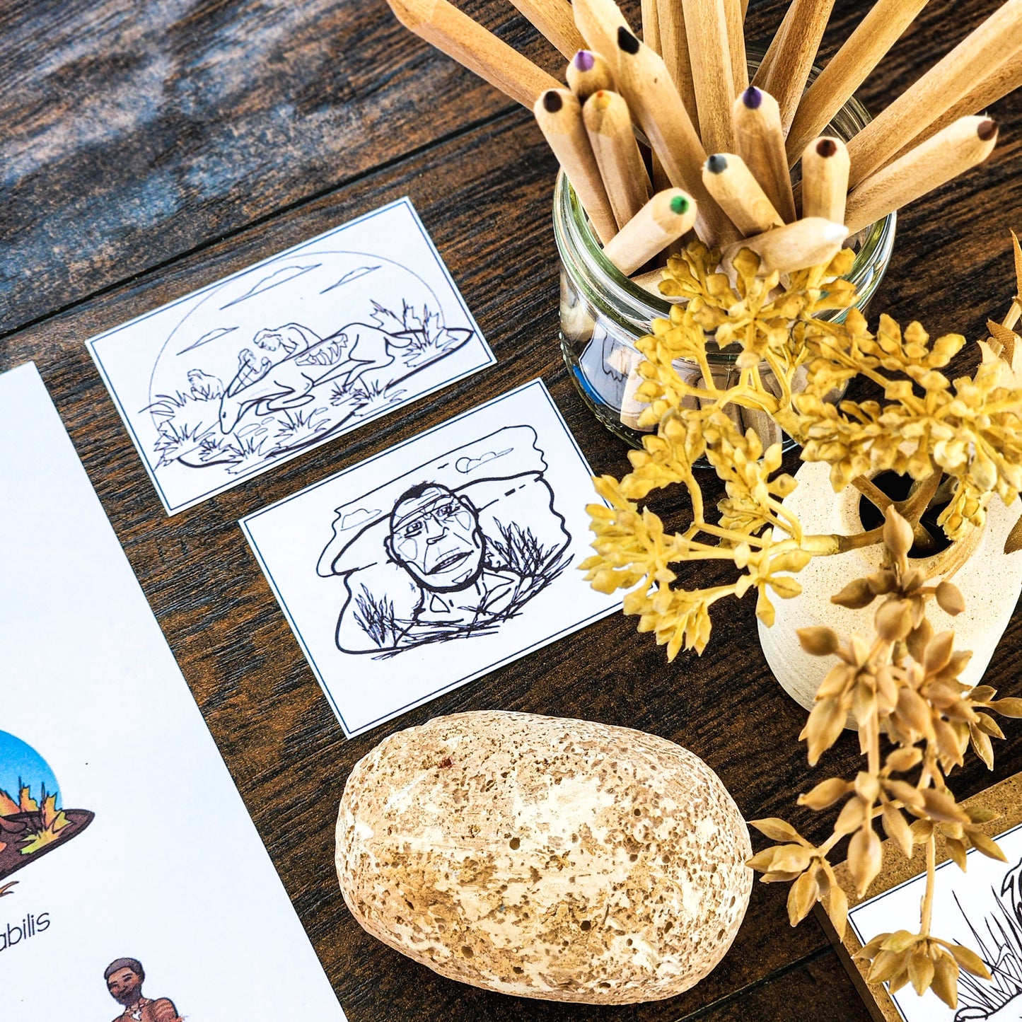Hominin or Hominid posters or picture sort (cosmic) - montessorikiwi