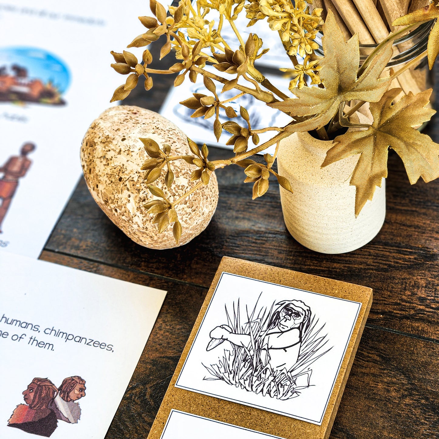 Hominin or Hominid posters or picture sort (cosmic) - montessorikiwi