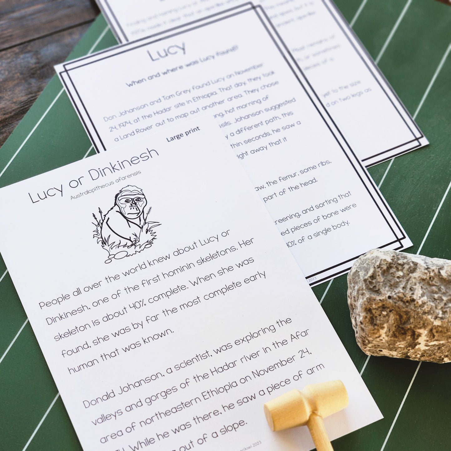 Early Humans Bundle (Montessori Inspired)