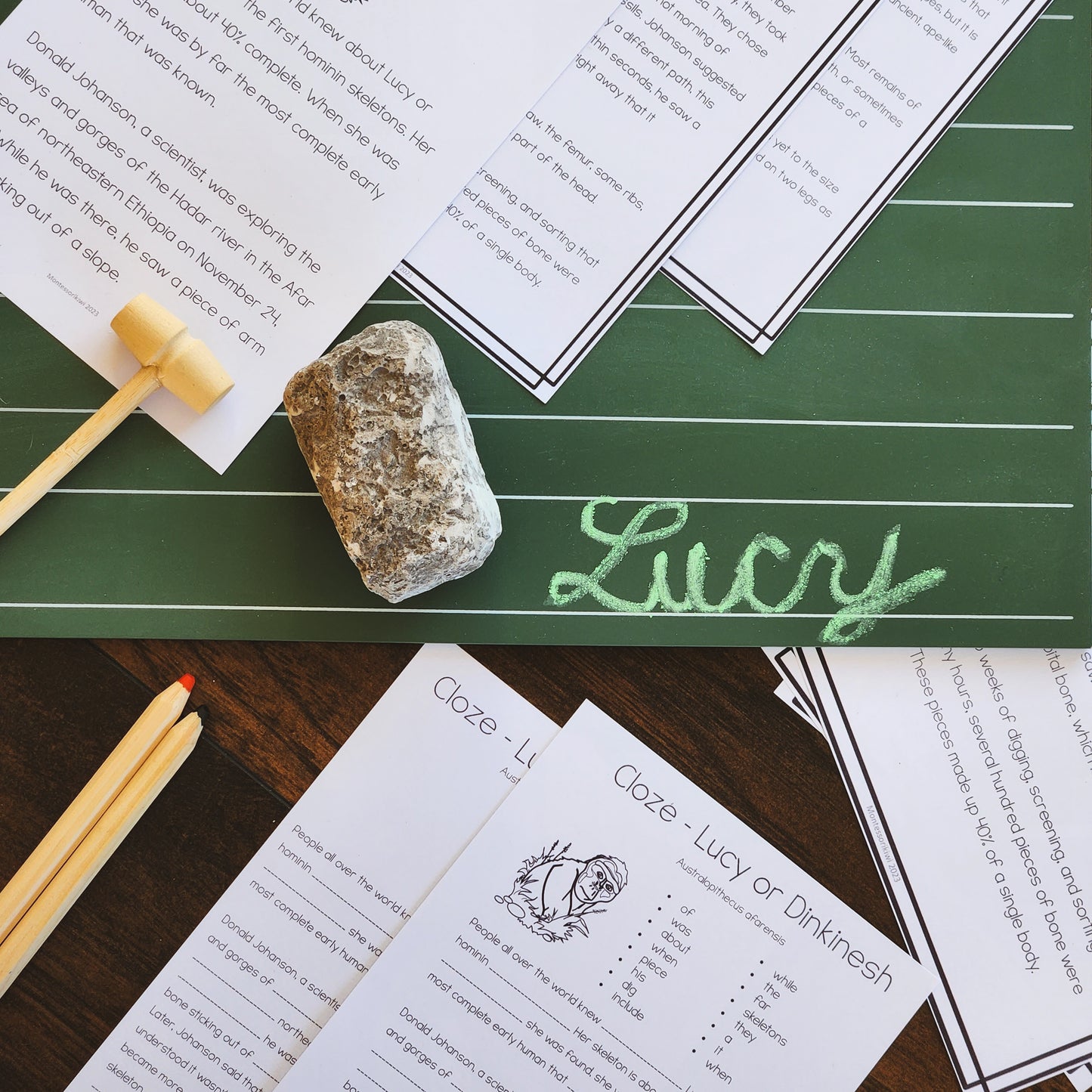 Early Humans Bundle (Montessori Inspired)