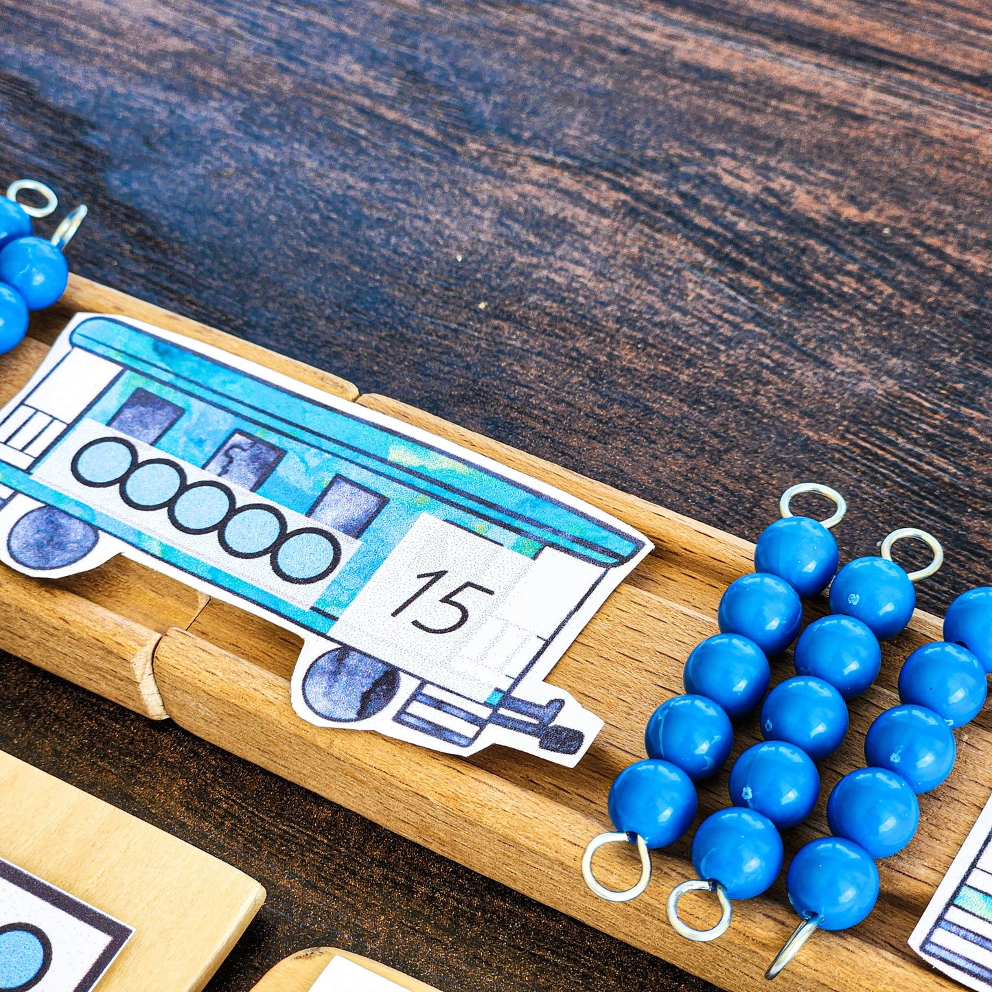 Skip Counting in 5 (Math resource)