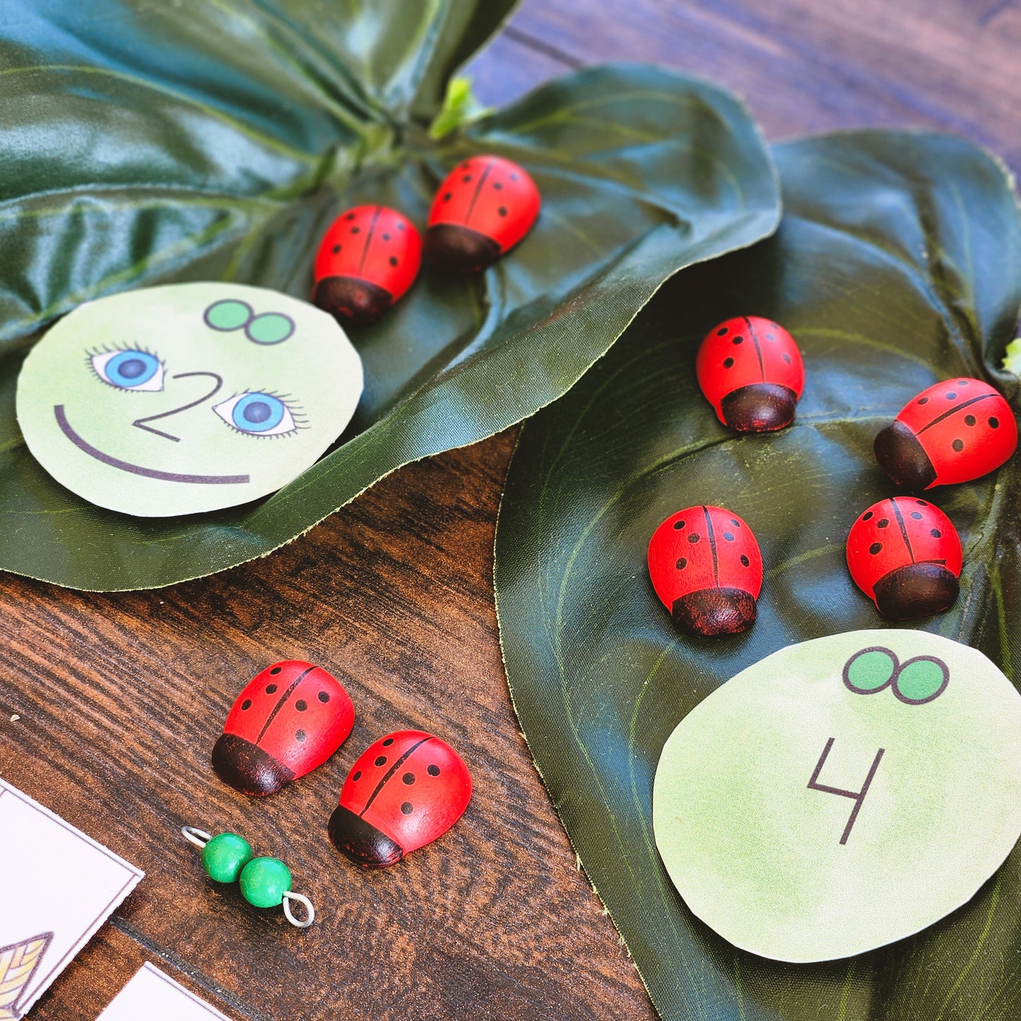 Skip Counting in 2 (Math resource)