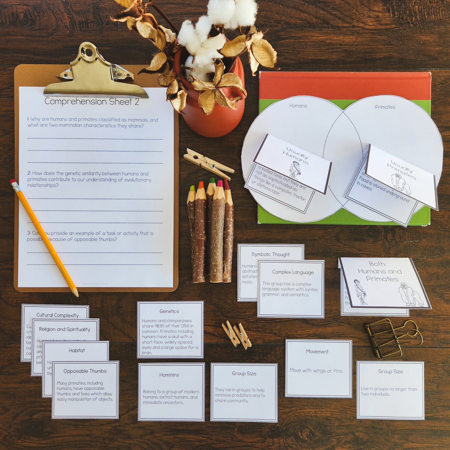 Early Humans Bundle (Montessori Inspired)