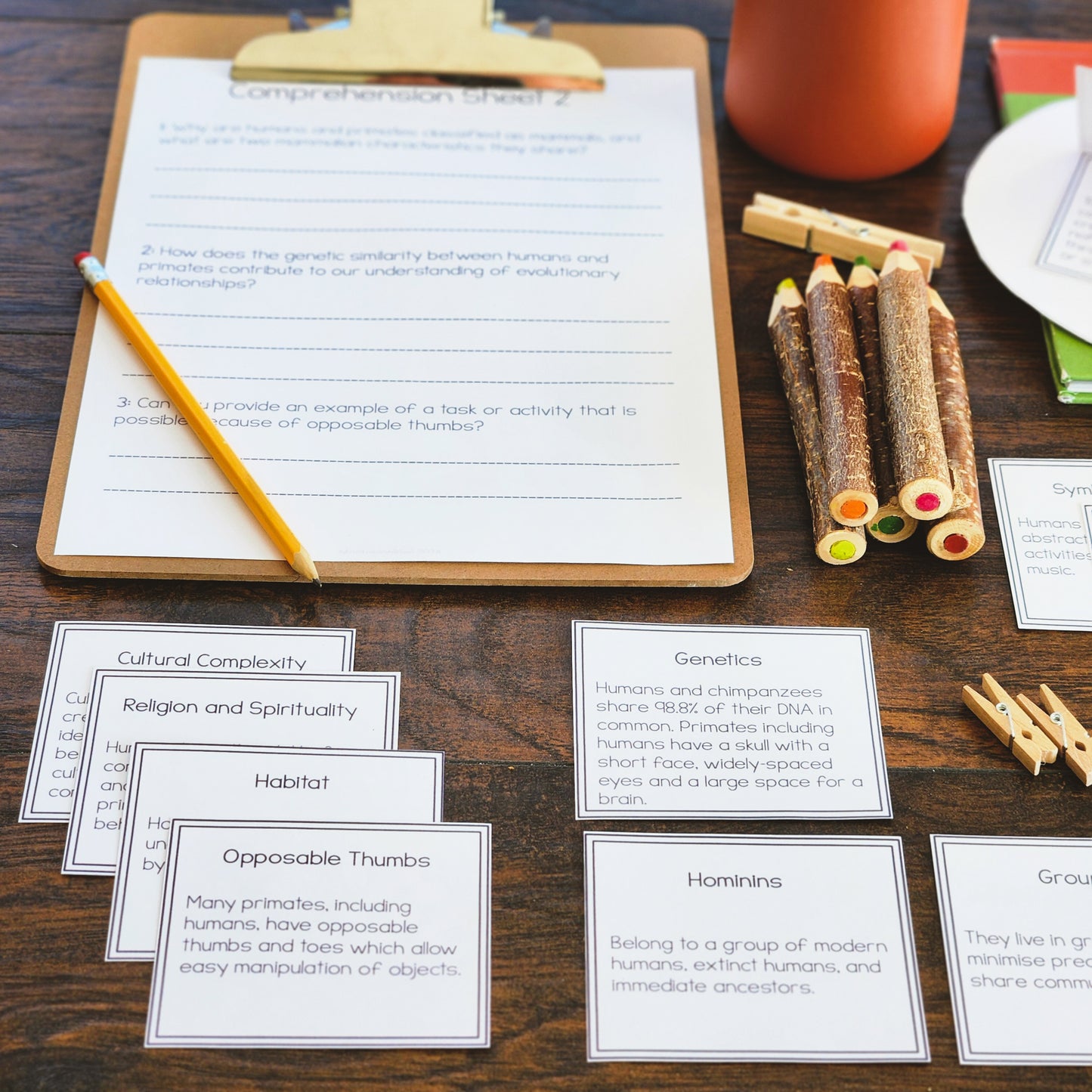 Early Humans Bundle (Montessori Inspired)