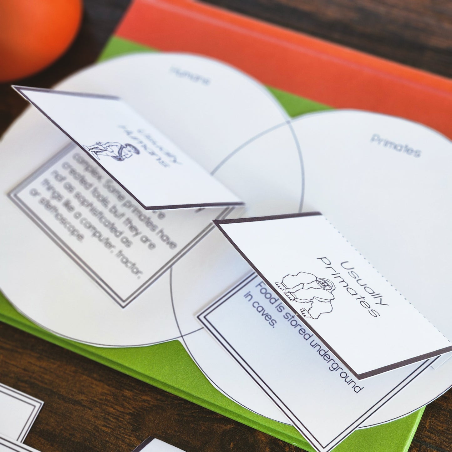 Early Humans Bundle (Montessori Inspired)