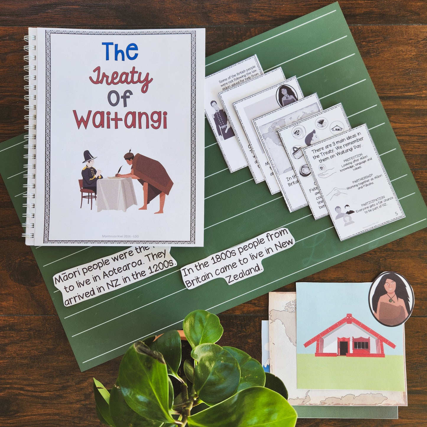 Waitangi Day Story Book