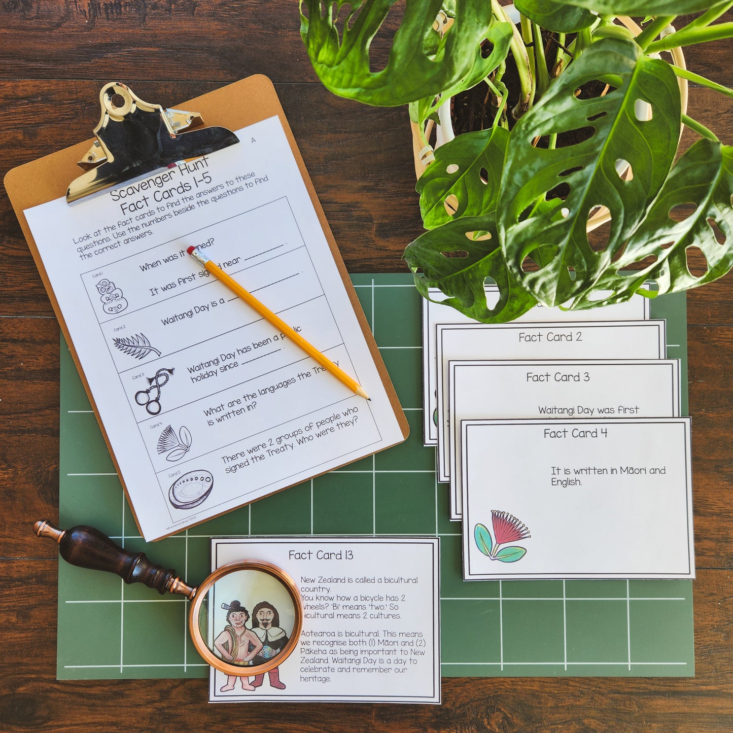 Waitangi Day Scavenger Hunt -Senior Edition