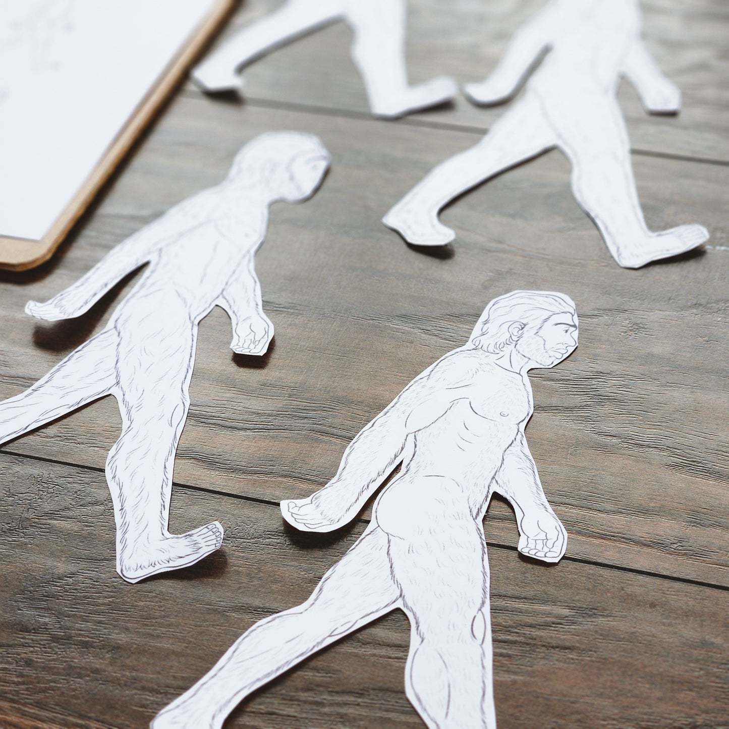 Early Humans Bundle (Montessori Inspired)
