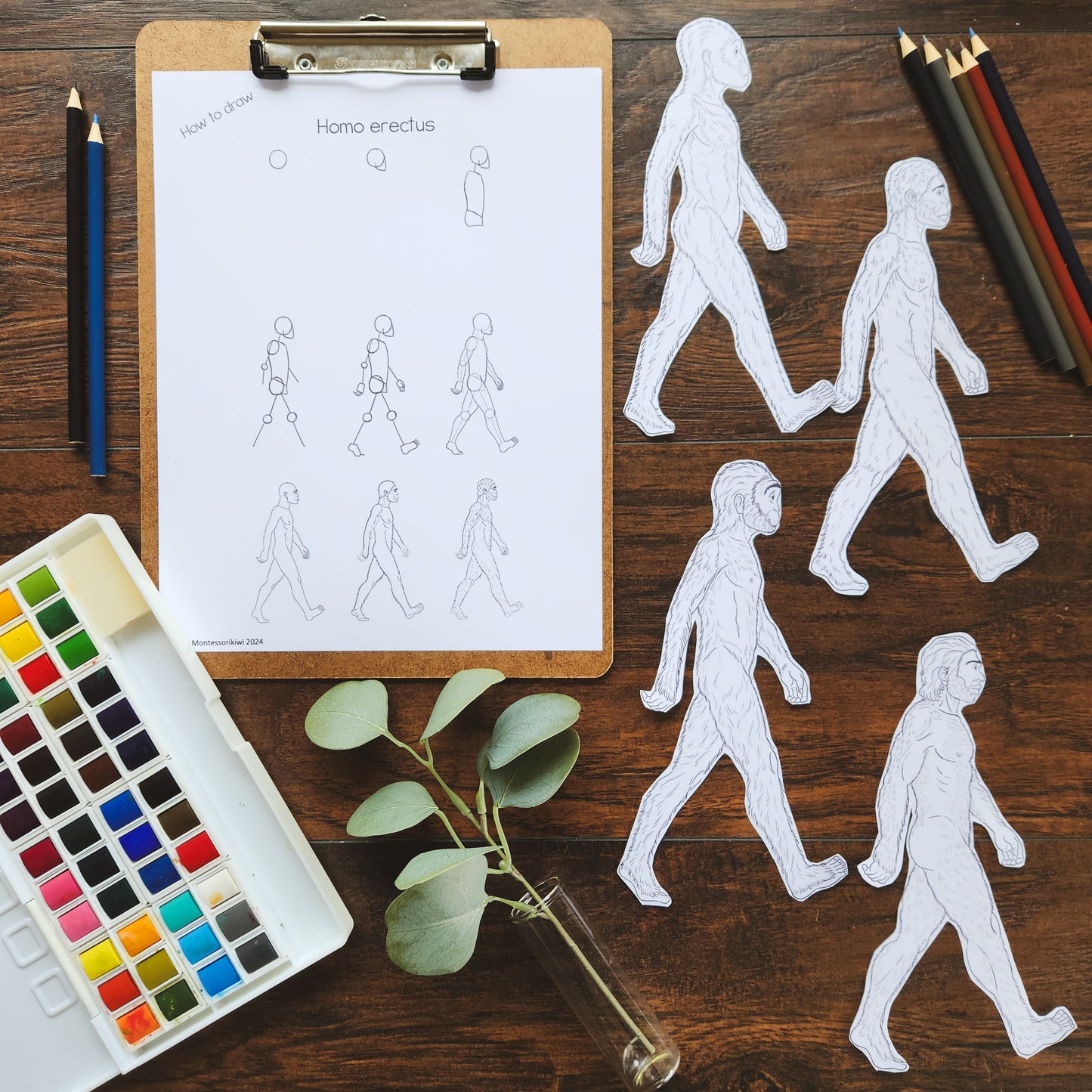 How to draw early humans and early humans coloring (EARLY HUMANS) (cosmic)