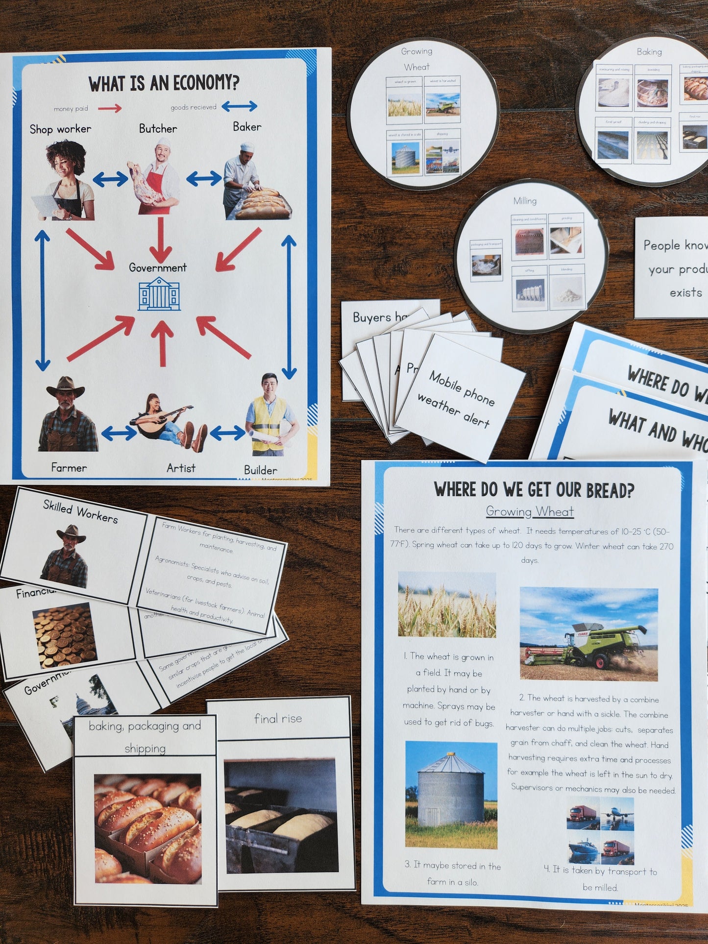 Economic Geography Resource for 8-12 year olds - Interdependencies