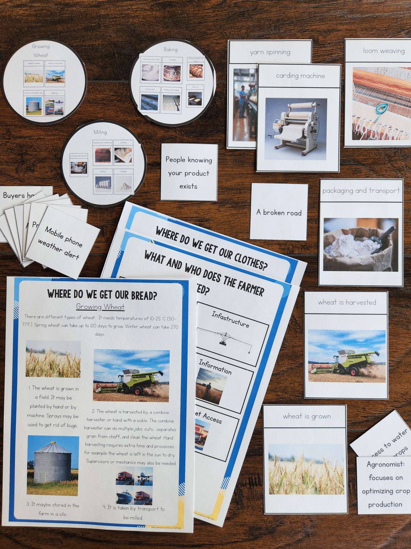Economic Geography Resource for 8-12 year olds - Interdependencies