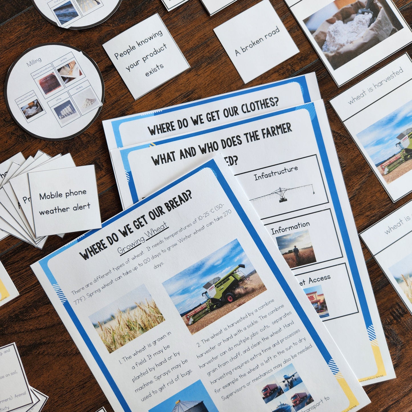 Economic Geography Resource for 8-12 year olds - Interdependencies