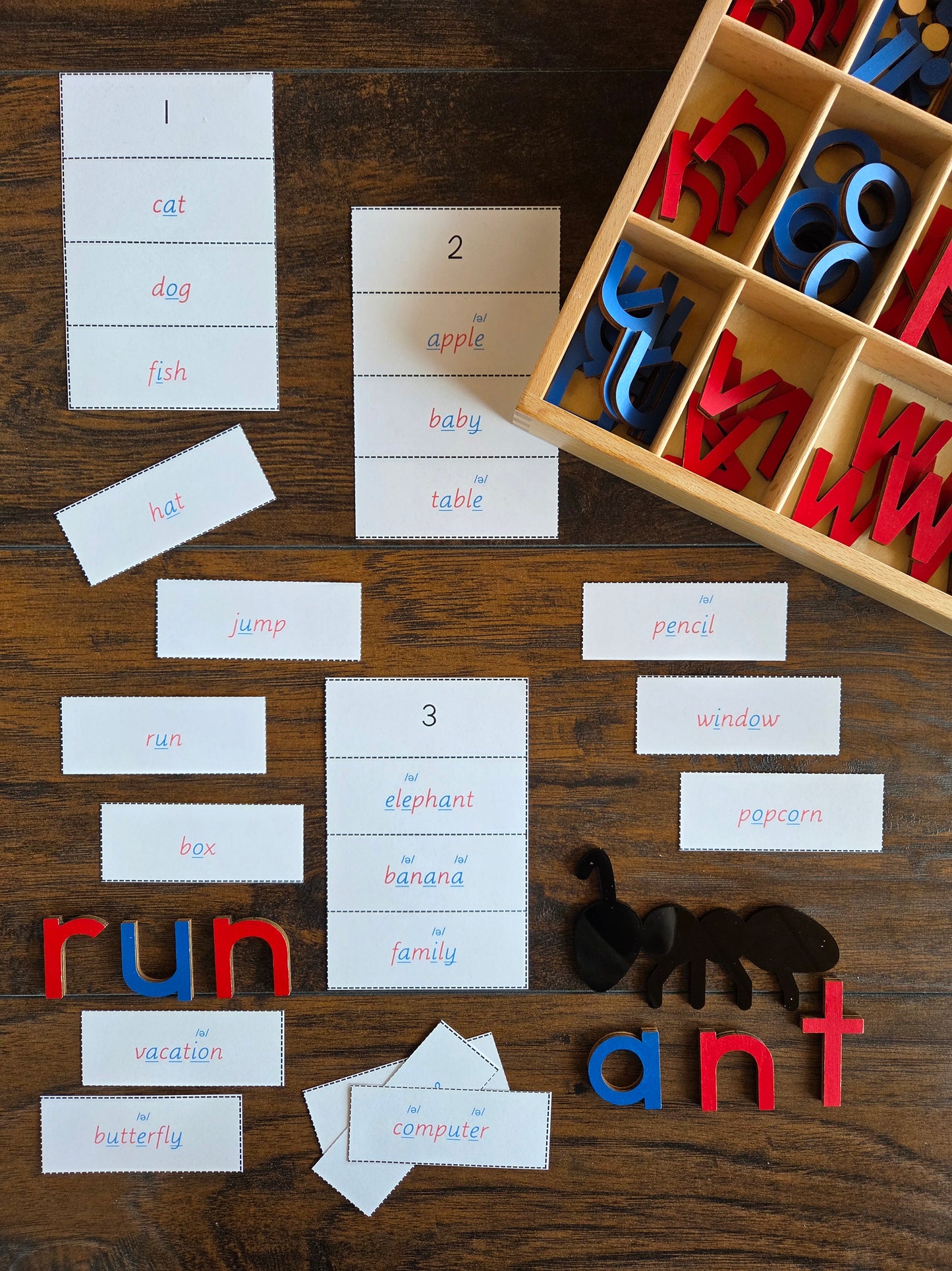 Modern Montessori Reading SOR syllable sort with schwa sound words (literacy)