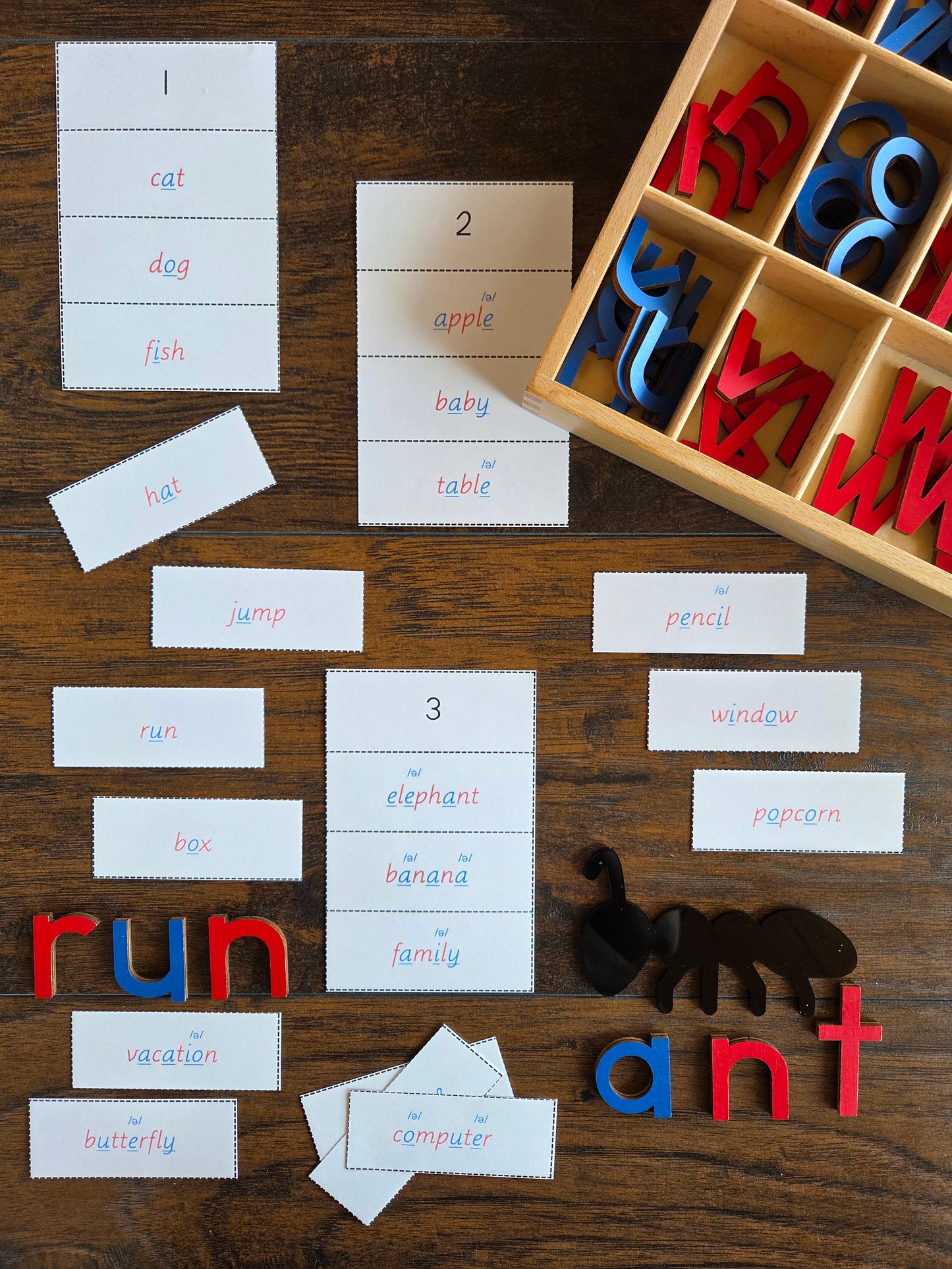 Modern Montessori Reading SOR syllable sort with schwa sound words (literacy)