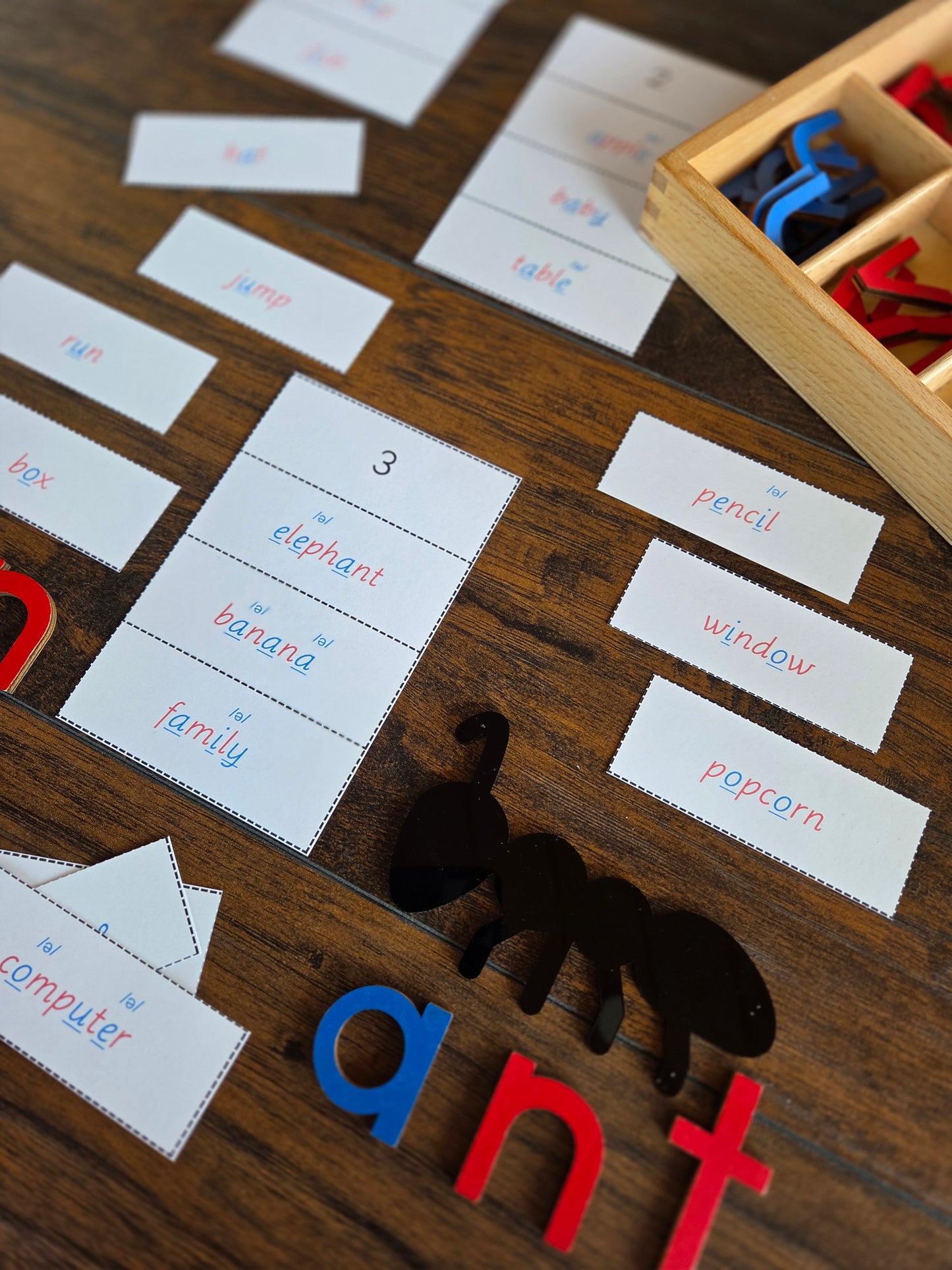 Modern Montessori Reading SOR syllable sort with schwa sound words (literacy)