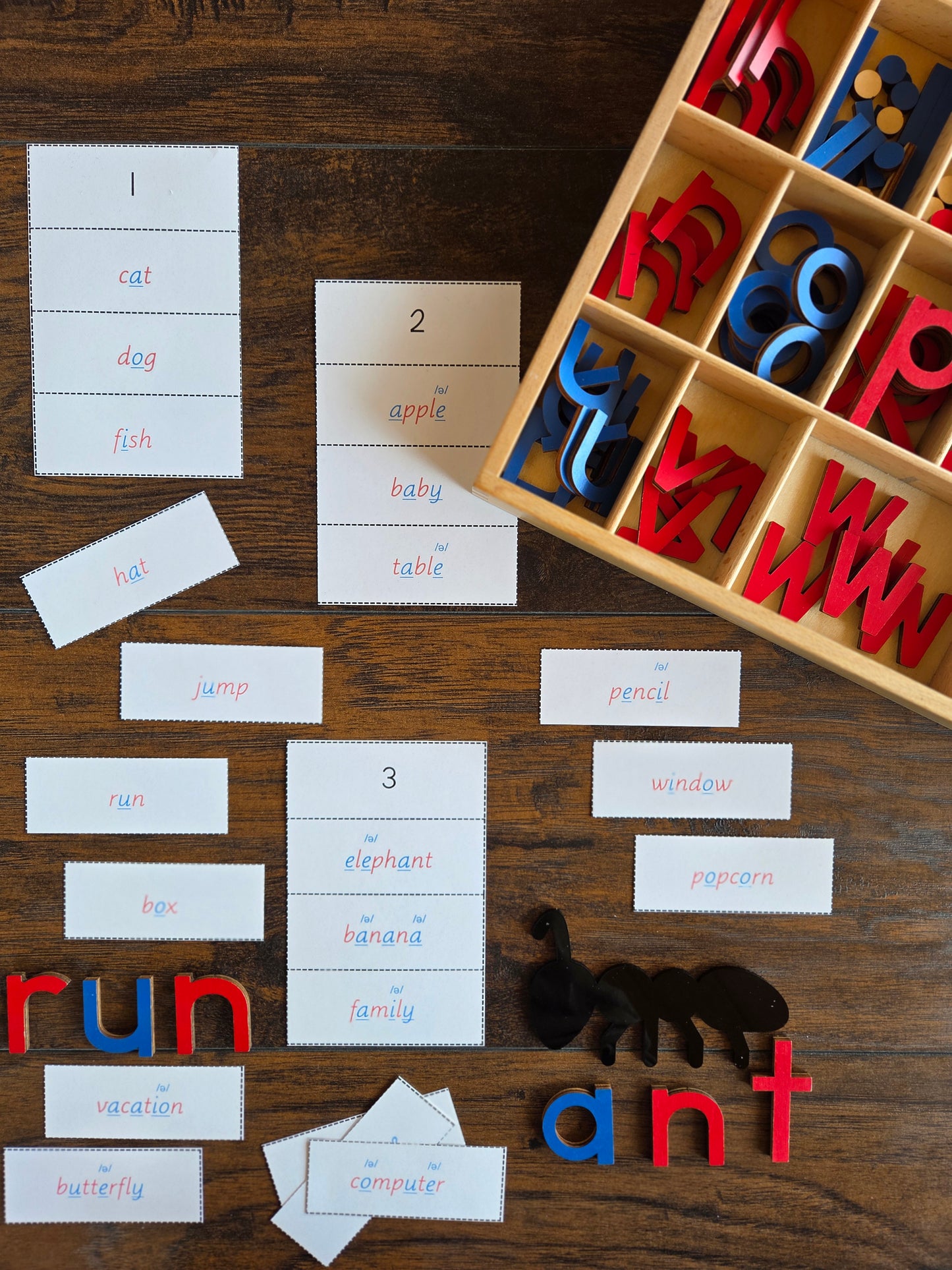 Modern Montessori Reading SOR syllable sort with schwa sound words (literacy)