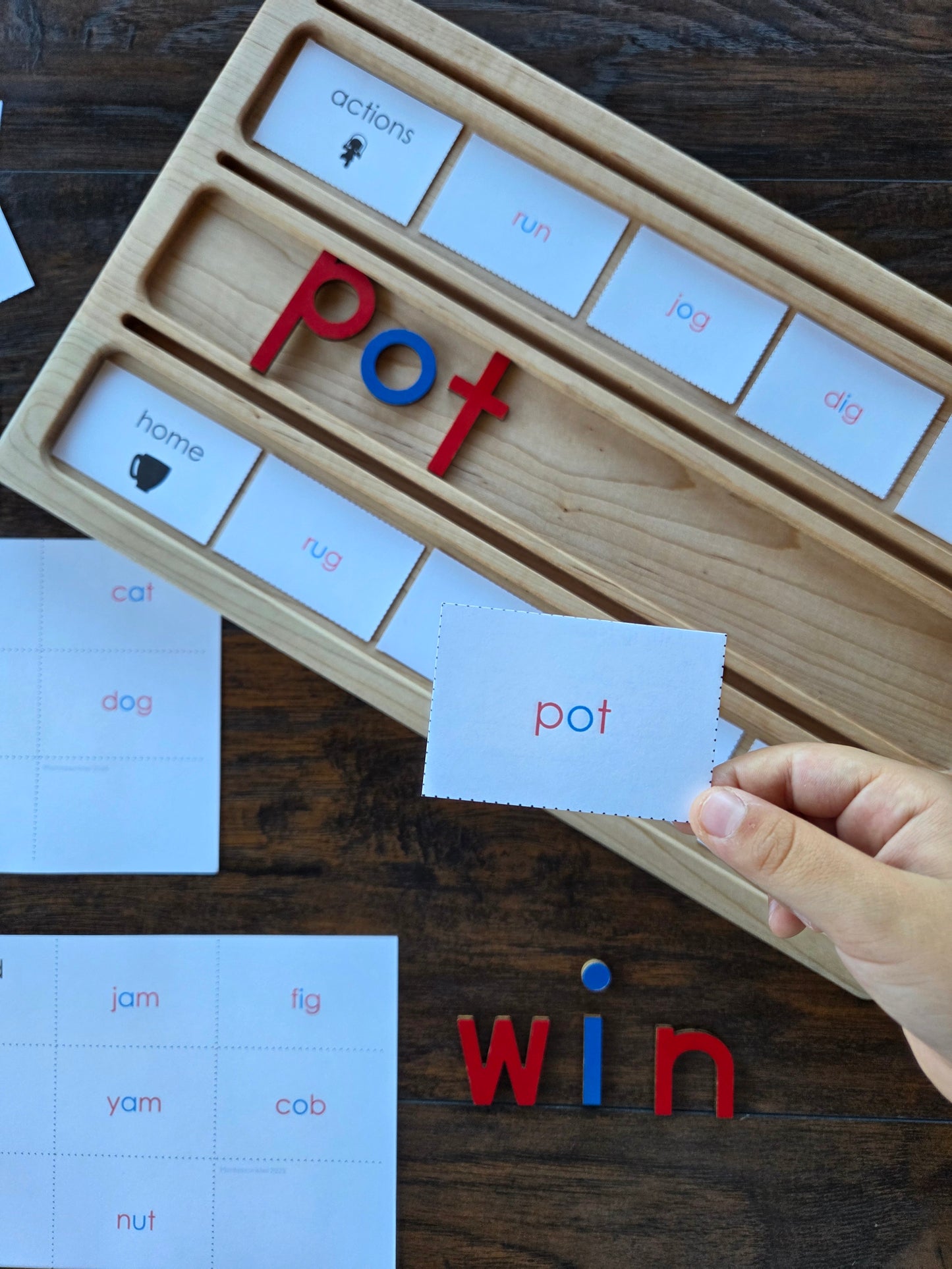 Modern Montessori Reading SOR CVC categorizing words (literacy)