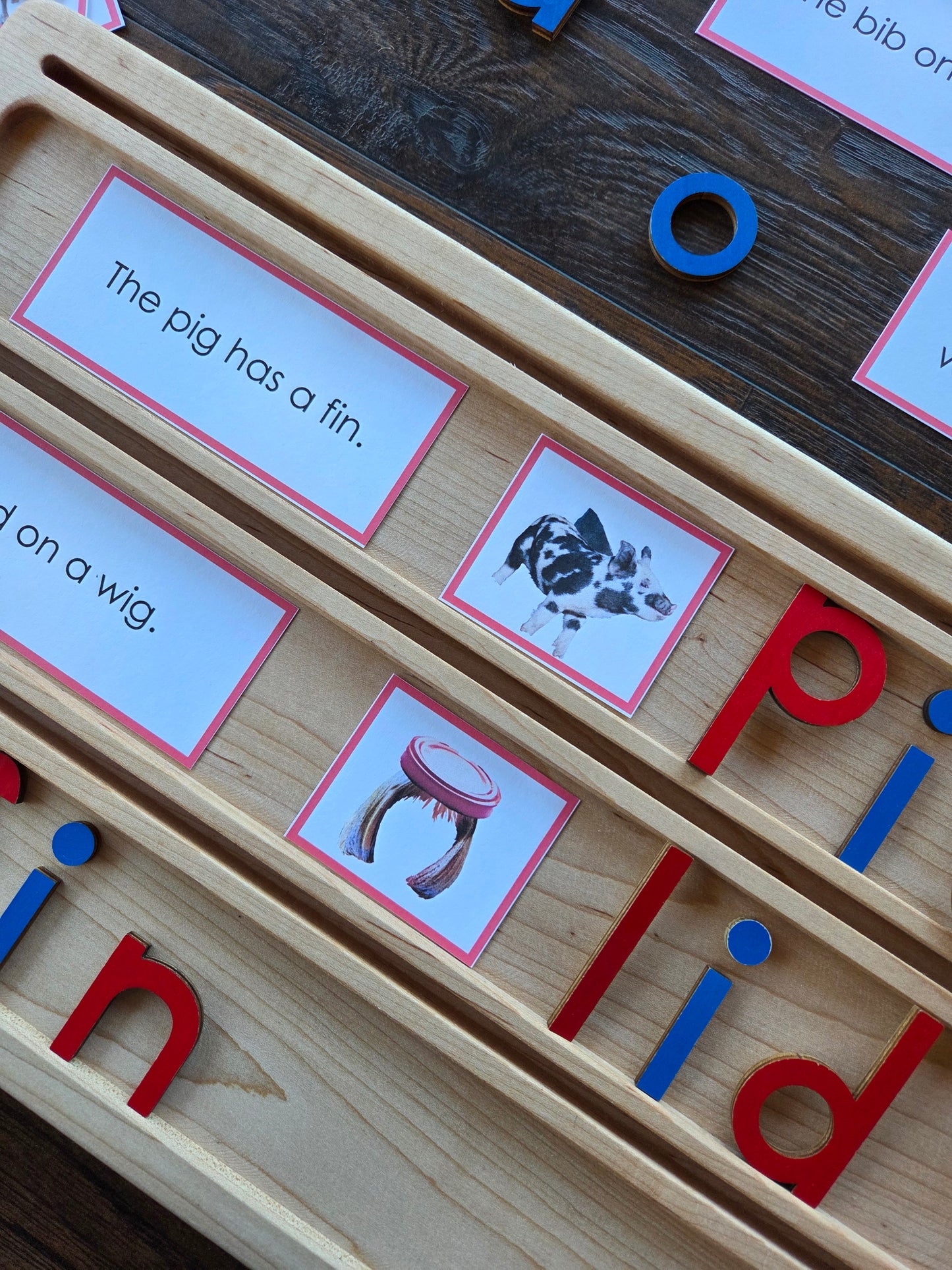 Modern Montessori Reading SOR CVC picture to sentence match (literacy)