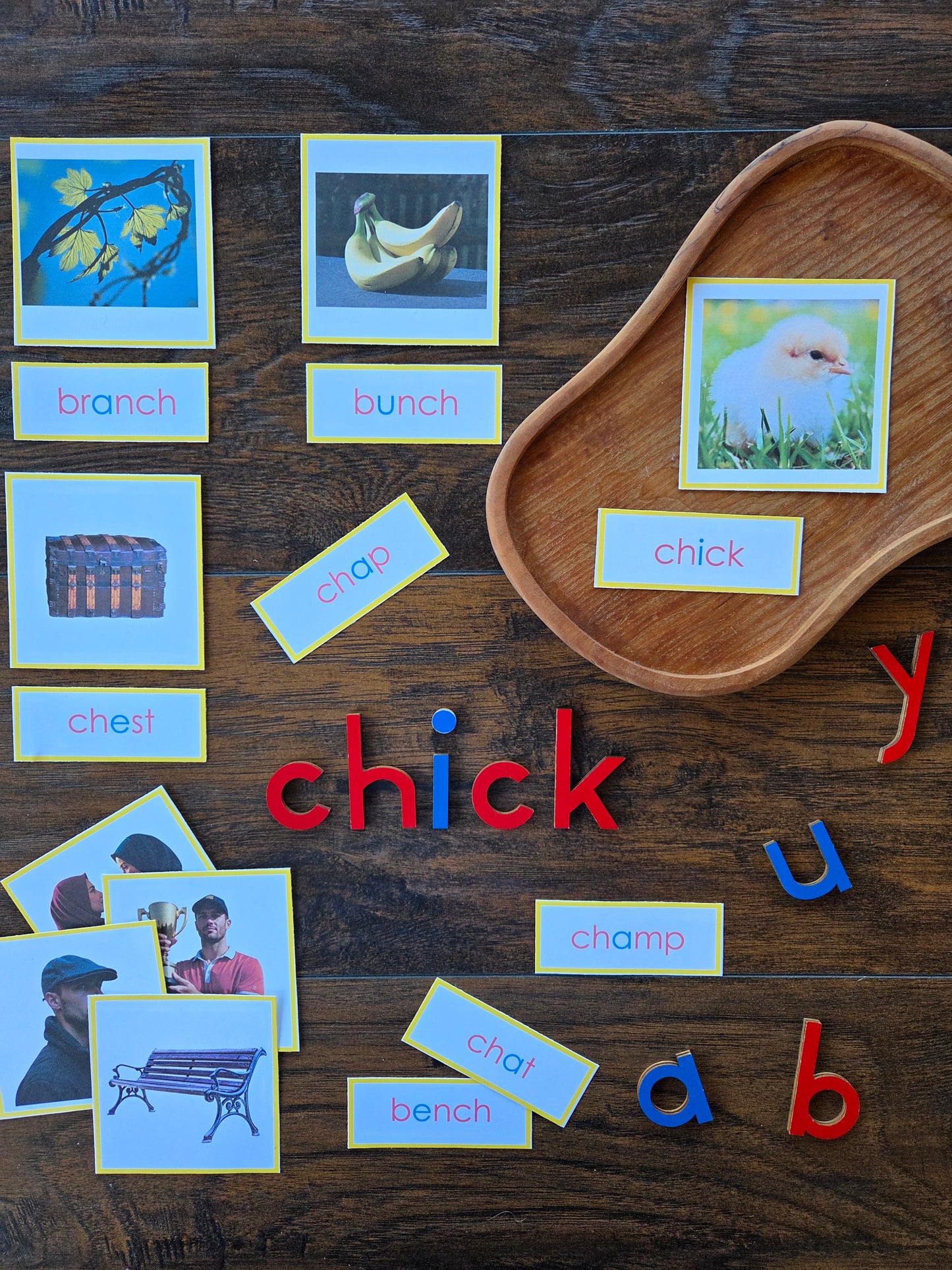 Modern Montessori Reading SOR Digraph picture to word match (literacy)