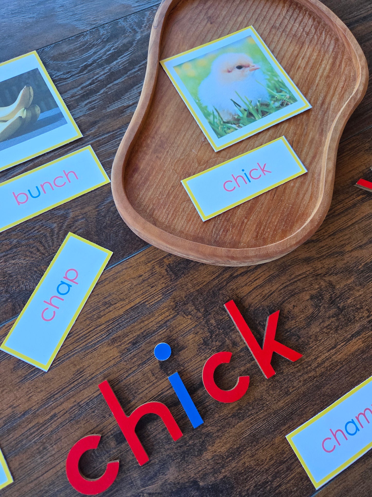 Modern Montessori Reading SOR Digraph picture to word match (literacy)